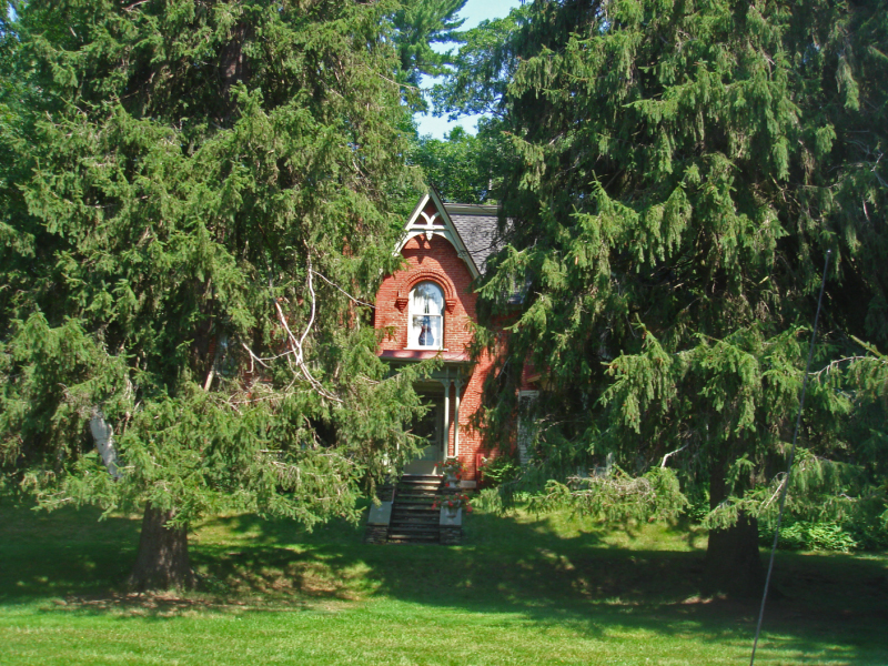 DSC06987