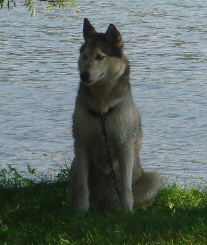 DSC07213c