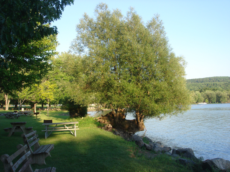 DSC07389