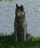 DSC07213c