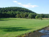 DSC07217