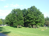 DSC07223