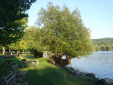 DSC07389