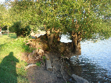 DSC07394