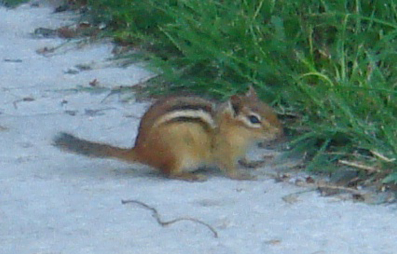 DSC07249c
