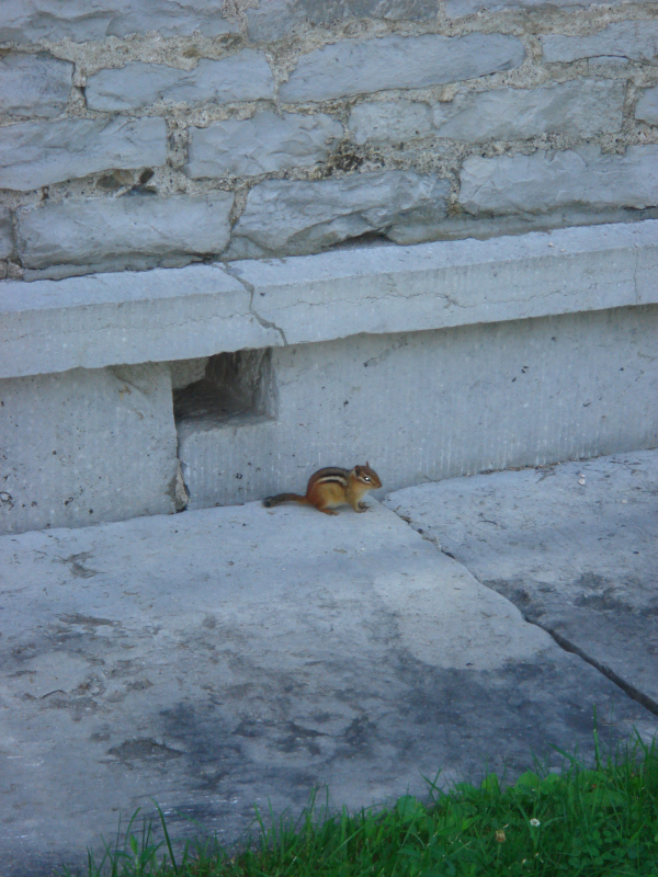 DSC07302