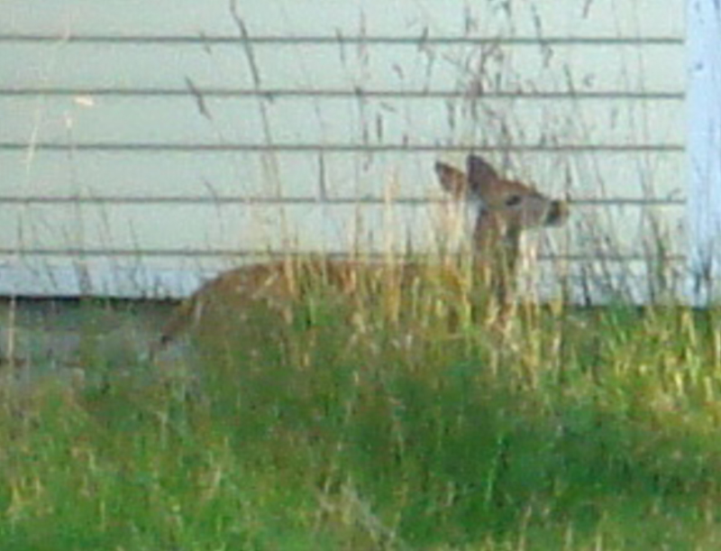 DSC07326c