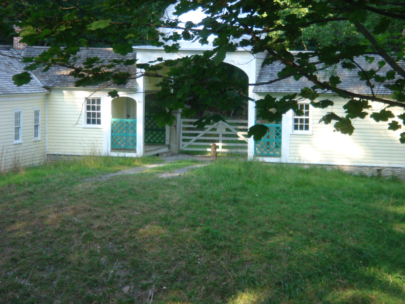 DSC07334