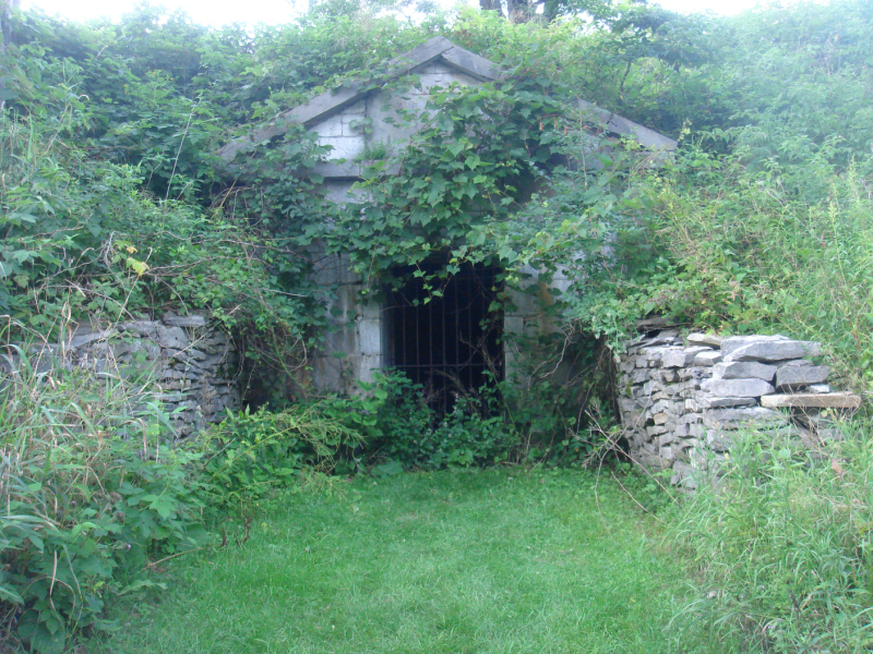 DSC07367