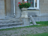 DSC07247