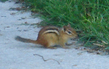 DSC07249c