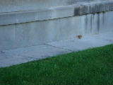 DSC07250