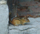 DSC07292c