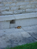 DSC07302