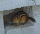 DSC07303c