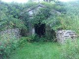 DSC07367